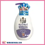 獅王 趣淨抗菌洗手液 果香250ML 洗手乳 抗菌洗手乳