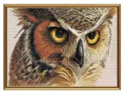 Cross Stitch Embroidery Kit - "Eagle-Owl", Eagle Owl, 10,5 X 6'' Home Decor DIY