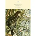 THE BRUSHWOOD BOY - ILLUSTRATED BY F. H. TOWNSEND