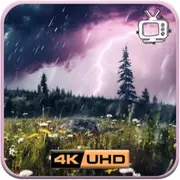 Thunderstorm Serenity - Rain & Thunder Sounds for Sleep