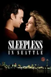 Sleepless in Seattle (1993) Movie Wall Art Poster Print Pick A Size Lot Up