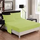 1 Piece Sage Fitted Bed sheet 100% Egyptian Cotton Calking Size