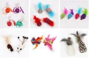 Cat Toys 2 Pack Interactive Fun Plush Mice Ribbon Feather Ball Pick Characters