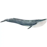 在飛比找蝦皮商城優惠-Schleich史萊奇 藍鯨 SH14806