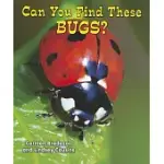 CAN YOU FIND THESE BUGS?