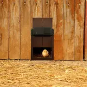 Automatic chicken house door, automatic chicken house door with light sensor, waterproof automatic chicken house door red