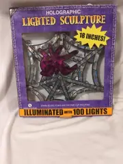 18” Spider Web Holographic Lighted Sculpture Halloween Window Decor 100 Lights