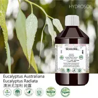 在飛比找Yahoo!奇摩拍賣優惠-【純露工坊】Eucalyptus Australiana  
