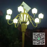 在飛比找露天拍賣優惠-路燈太陽能中華燈玉蘭道路燈景觀6米戶外LED燈罩公園廣場高桿