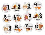JOINPAYA 12pcs Creative Round Shape Sticker Baby Month Stickers Animal Pattern Milestone Self-Adhesive Stickers for Newborns Babies Photography