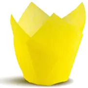 Tulip Baking Cupcake Liners: 300 Liner Count Cupcake and Muffin Wrappers (Yel...