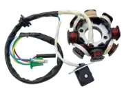 8 Pole Stator 150cc Go Kart Cart Parts Hammerhead Twister Post m150-10551100
