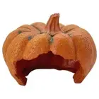 Pumpkin Bonsais Landscape for Fish Tanks Ornaments Shrimp Reptiles Shelter