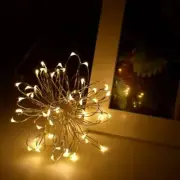 Radiance LED String Lights, 6 ft Warm White, Battery Powered 2 PK New Free Ship