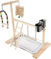 PENIKOKO 1Set Parrot Playground Stand Perch Gym with Swing for Parrots Durable Bird for Climbing Chewing and Swinging Fun