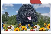 Cockapoo Summer Flowers Mail Box Cover