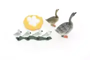 Learn the Geese Life Cycle Model, Figure, Educational Plastic Toy, Set of 4