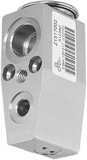DUNSIHUI 1550791 A/C Expansion Valve 1551285 For Acadia Enclave Outlook Traverse 9037863 Expansion Valve 39466 15920863