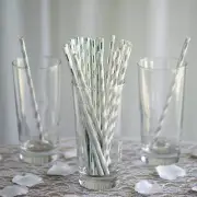 25 pcs 8" White and Silver Biodegradable Striped Paper Straws Light Gray Party