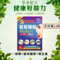 在飛比找蝦皮購物優惠-草地狀元 精武金牌 遠紅外線 葡萄糖胺 黃金薑 貼布 伸縮透