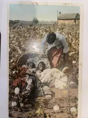 “Very Rare” Postcard 10546 Discovered