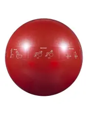 [Gofiit] Proball Red 65cm Stability Ball