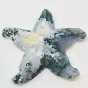 Druzy Tree Agate Starfish Bead | 61x57x11mm | White/Green | Starfish | 1 Bds