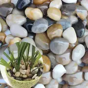 3 Lb River Rocks for Succulent Plants,Decorative Rocks Bonsai Garden Pebbles,Aqu