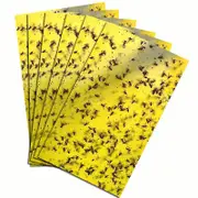 50 Insect Traps, Double Sided Sticky Paper, Yellow Sticky Papers For White Fly Leaf, Aphids
