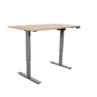 Electric Height-adjustable Computer & Laptop Standing Desk Single Motor Grey