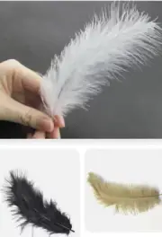Marabou Feathers - 10 Grams over 50 feathers in Pkt - White Black - Easter Sale