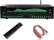 31-Band Digital Equalizer – Stereo Graphic Audio EQ with LED Music Spectrum Analyzer, Noise Reduction & 12 Rhythm Patterns for Recording Studio