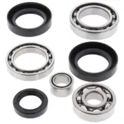 All Balls Rear Differential Bearing and Seal Kit 25-2021