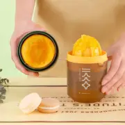 Fruit Juicer|400 ML|Manual Juicer|Portable Juicer|Citrus Lemon Orange Juicer
