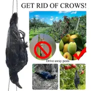 Realistic Hanging Dead Crow Decoy Lifesize Extra Black Feathered Crow