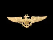 ASTRONAUT BADGE WING HAT PIN APOLLO NASA SPACE SHUTTLE PILOT US NAVY MARINES WOW