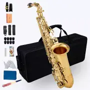 Eb Alto Saxophone Gold Lacquer E Flat Sax with Case Strap for Student Beginner