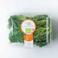 在飛比找蝦皮購物優惠-NICE GREEn  美蔬菜羽衣甘藍 1盒 生菜 溫沙拉 