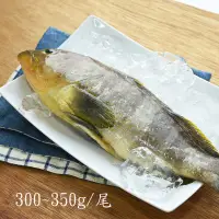 在飛比找台灣好農優惠-【澎湖珍鮮】澎湖野生船釣黃石斑(300g/包)