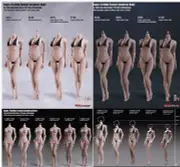 1/6 Seamless Female Body Tbleague Phicen Action Figure For 12inch Doll Model