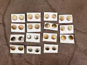 15 Vintage Clip On Earrings Large Gold Tone Button Style - 1950's - CRAFT ITEM?
