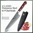 Full Tang Chef Knife 67 Layers Damascus Steel Wood Handle Hammered Premium Slice