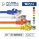 【祥昌電子】POLYWELL 寶利威爾 RJ-45 CAT.6 福祿克 高速網路線 網路線 24AWG 藍色 0.5M