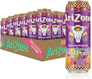 Arizona Fruit Punch - Big Can, 23 Fl Oz (Pack of 24)