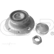 GSP Wheel Hub Assembly - 230092K