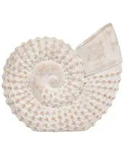 Sagebrook Home 7in Ceramic Shell Table Accent