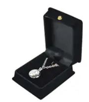 Dual Silver Paw Prints Pendant Urn w/20" chain & black velvet display box