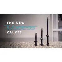 在飛比找蝦皮購物優惠-胖虎單車 Schwalbe New Tubeless Val