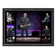 Music - Neil Diamond Framed Photo Collage