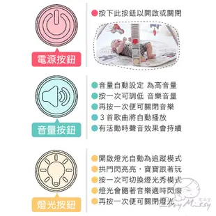 Skip Hop寶寶五感玩具-活力聲光健力架遊戲墊 嬰兒玩具 幼兒玩具 安撫玩具 健力架 skiphop【台灣現貨】